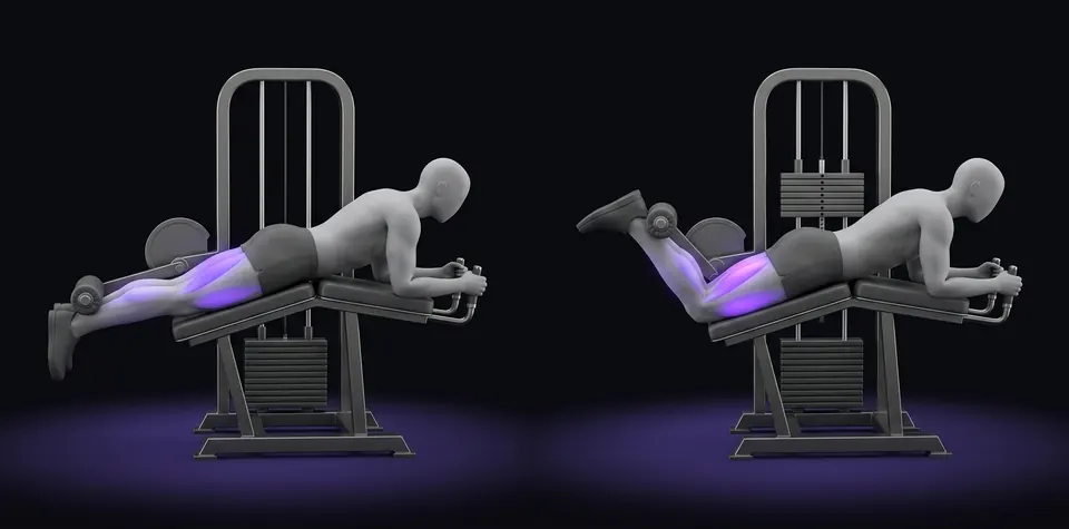 Curl femoral tumbado en máquina: posición inicial y final, ilustración de LifeOS