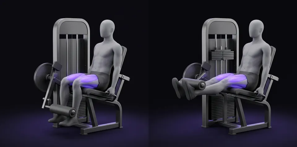 Extensión de cuádriceps en máquina: posición inicial y final, ilustración de LifeOS
